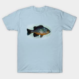 The Pumpkinseed Panfish T-Shirt